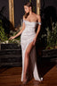 Cinderella Divine - 7492W